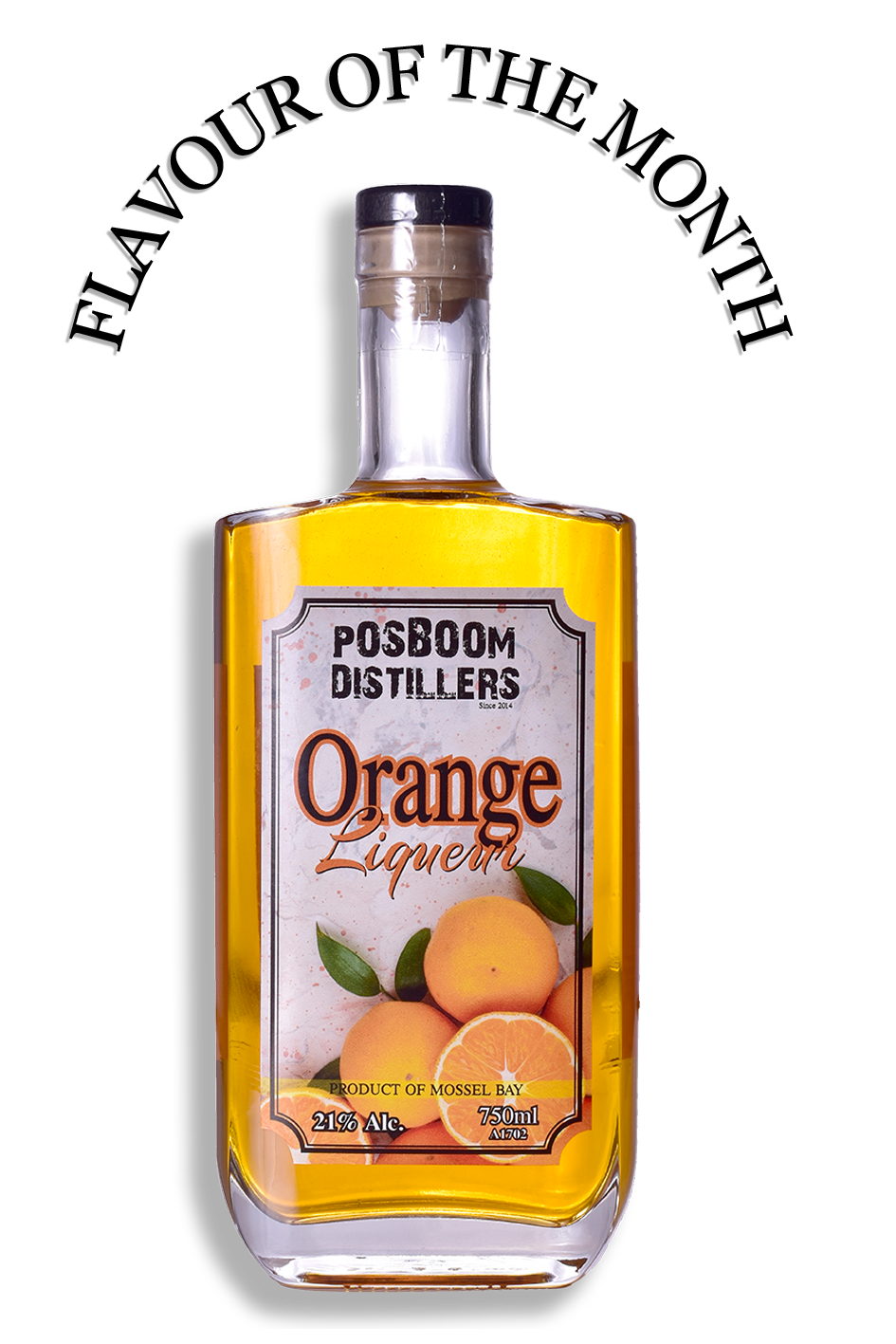 🍊IT'S GIVEAWAY TIME, ZESTY BOMBS! ✨  🍊